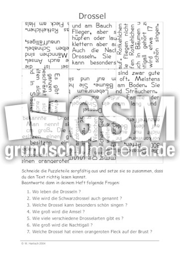 Drossel.pdf